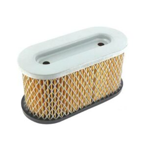 Acheter au meilleur prix votre Filtre A Air Briggs Et Stratton (491950) pas cher en ligne sur expert-motoculture.fr