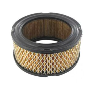 Acheter au meilleur prix votre Filtre A Air Briggs Et Stratton (392286) pas cher en ligne sur expert-motoculture.fr