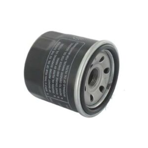 Acheter au meilleur prix votre Filtre A Huile Briggs et Stratton - 820314 pas cher en ligne sur expert-motoculture.fr