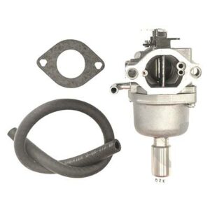 Acheter au meilleur prix votre Carburateur Moteur Briggs et Stratton (591731