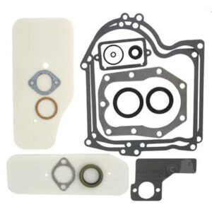 Acheter au meilleur prix votre Pochette De Joint Moteur Briggs Et Stratton - 393411 pas cher en ligne sur expert-motoculture.fr