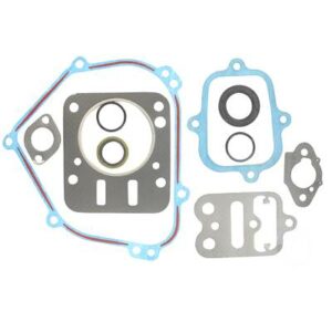 Acheter au meilleur prix votre Pochette De Joint Moteur Briggs Et Stratton - 798540 pas cher en ligne sur expert-motoculture.fr